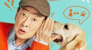 Dog Knows Everything
